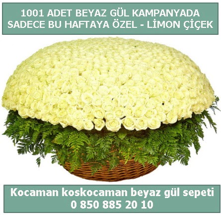 1001 adet beyaz gül sepeti özel kampanyada  Batman çiçek gönderme sitemiz güvenlidir 