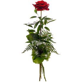  Batman online çiçekçi , çiçek siparişi  1 adet kırmızı gülden buket