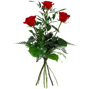  Batman uluslararası çiçek gönderme  3 adet kırmızı gülden buket